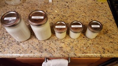 Some jars of homemade yogurt